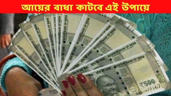 আয়ের পথে সমস্ত বাধা কাটবে এই ৪ প্রতিকারে, আজই শুরু করুন