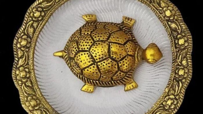 কচ্ছপের বাস্তু গুরুত্ব