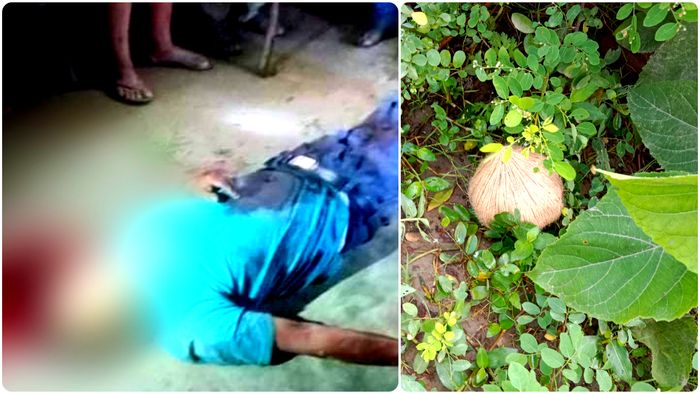 এখনও পর্যন্ত ৭ জনের মৃত্যু, পঞ্চায়েত ভোট ঘিরে তপ্ত বাংলা!