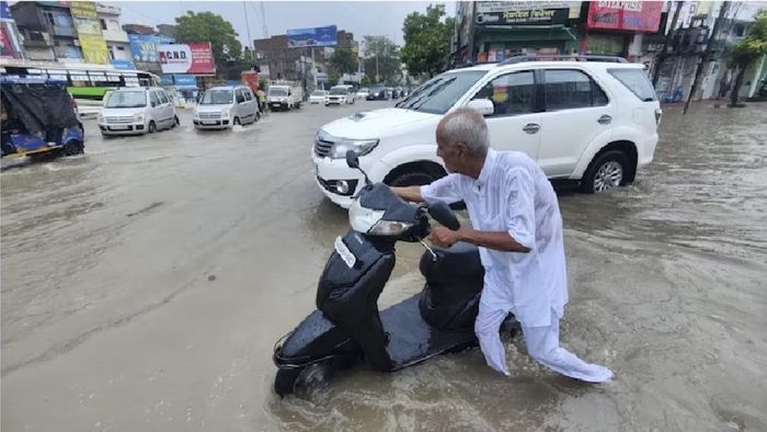 ফাইল ছবি।