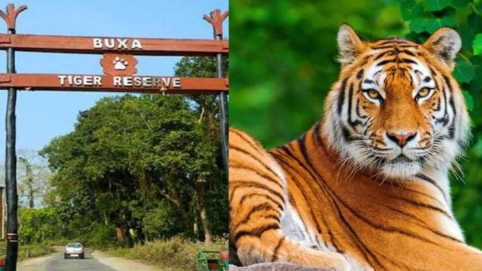 বাঘের অস্তিত্ব স্বীকার কেন্দ্রের, খুশি বক্সা-ক্ষুণ্ণ নেওড়াভ্যালি