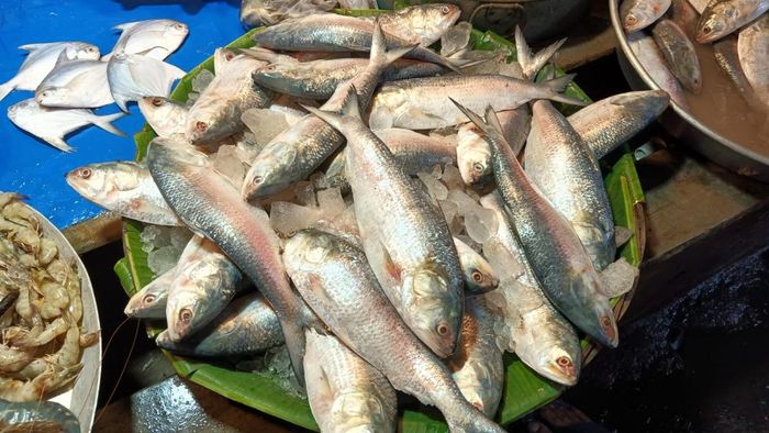 নিজস্ব ছবি।