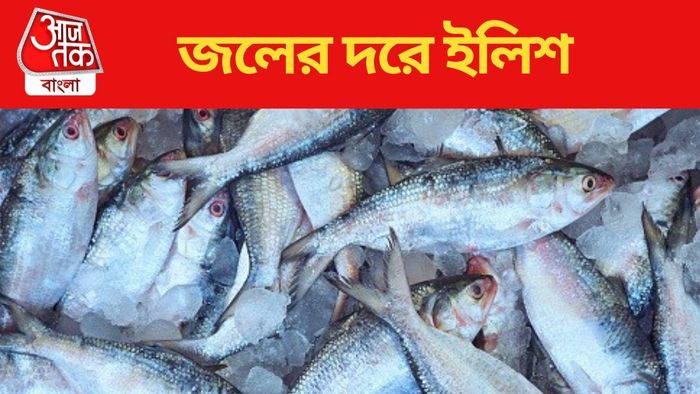 ইলিশ
