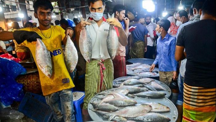 ফাইল ছবি।