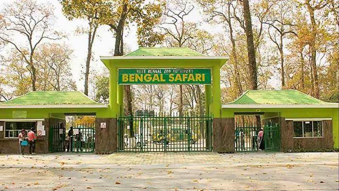 প্রচুর বাঘ, সিংহ আসছে রাজ্যে; বেঙ্গল সাফারি পার্কের সঙ্গে সাজছে নিউটাউন চিড়িয়াখানও
