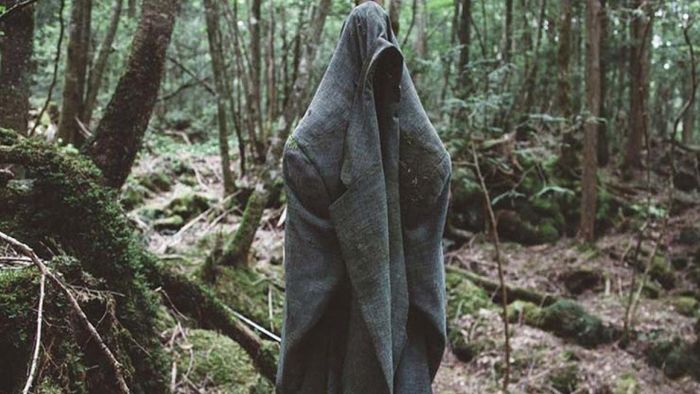 এই ‘ভূতুড়ে’ রহস্যে ঘেরা জঙ্গলে প্রতি বছর আত্মহত্যা করেন গড়ে ১০০ জন!