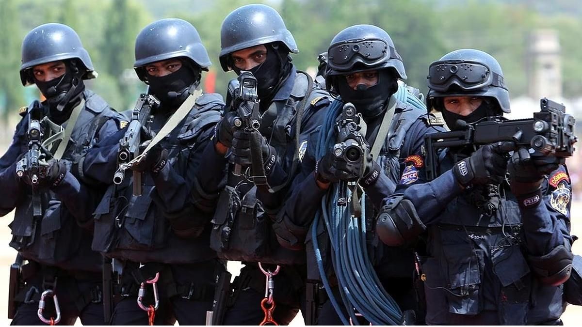 ফাইল ছবি।