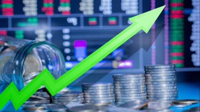 অর্কিড ফার্মার শেয়ারে মালামাল রিটার্ন