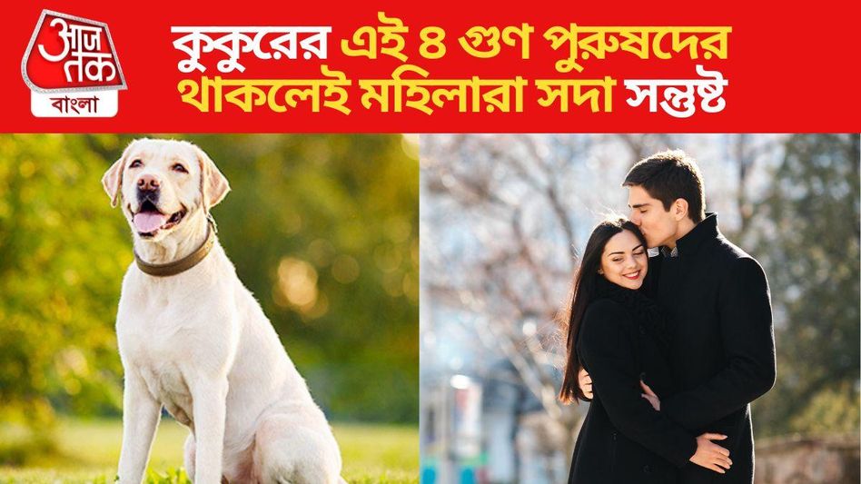 কুকুরের এই ৪ গুণ পুরুষের মধ্যে খোঁজেন মহিলারা, থাকলেই উজাড় করে দেন ভালবাসা কুকুরের এই ৪ গুণ পুরুষের মধ্যে খোঁজেন মহিলারা, থাকলেই উজাড় করে দেন ভালবাসা