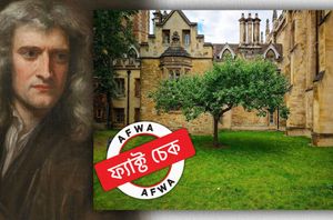 Social media Users Social media Users