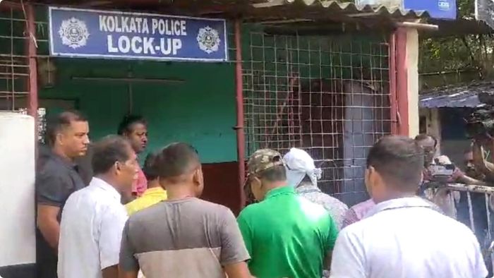 ফাইল ছবি।