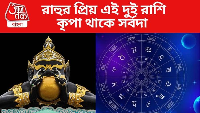 রাহুর কৃপা থাকে এই ২ রাশির ওপর