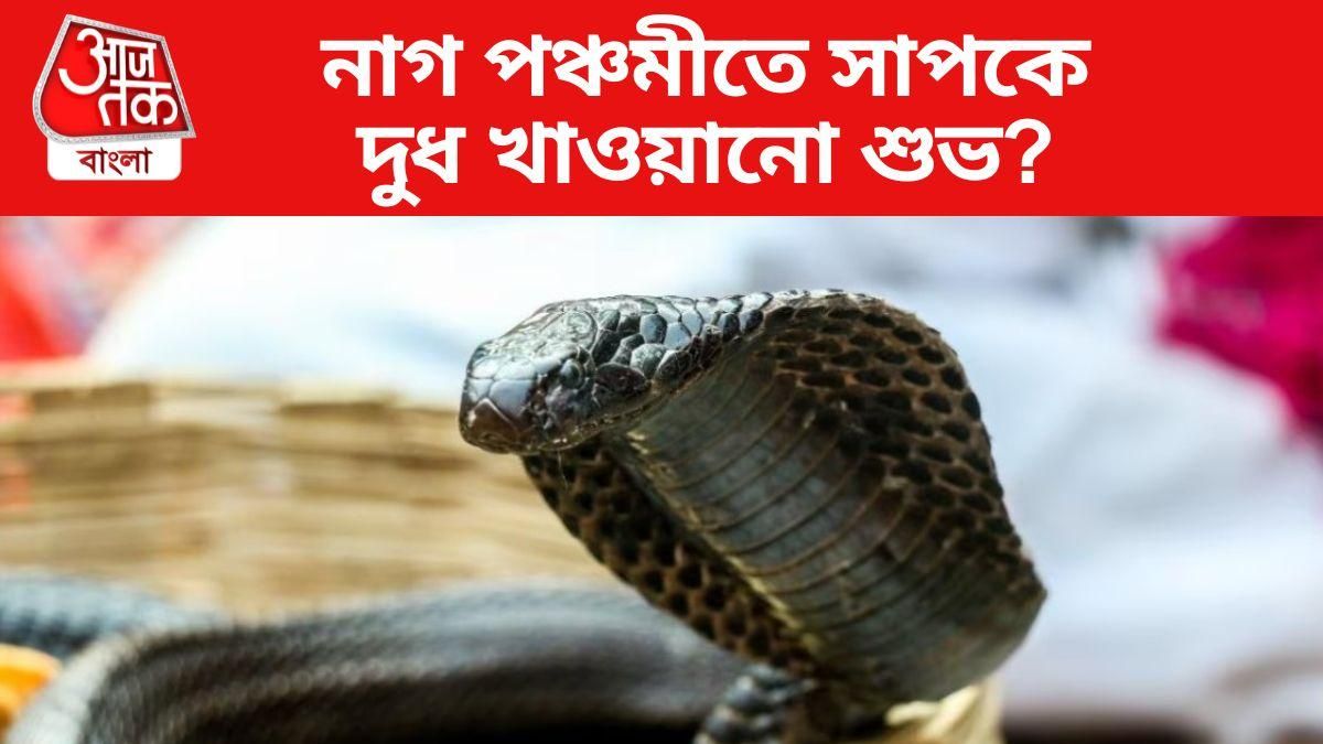 নাগ পঞ্চমীতে সাপকে দুধ খাওয়ানো শুভ? জানুন আর কী কী করবেন না