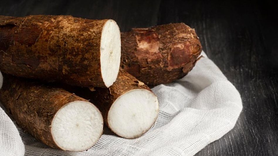 ওল- কচু খেলেই গলা চুলকায়? এভাবে মিলবে সমাধান, রান্না হবে সুস্বাদু ওল- কচু খেলেই গলা চুলকায়? এভাবে মিলবে সমাধান, রান্না হবে সুস্বাদু