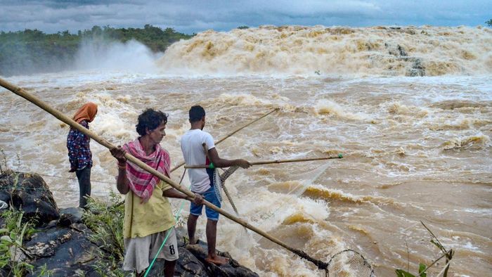ফাইল ছবি