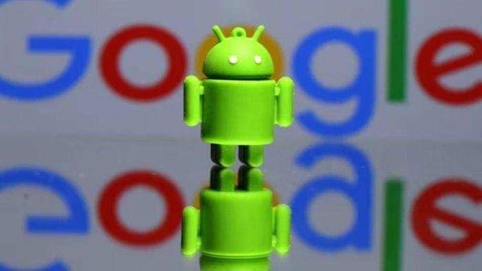 ফাইল ছবি।