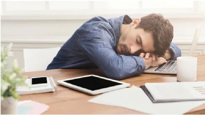 ফাইল ছবি।