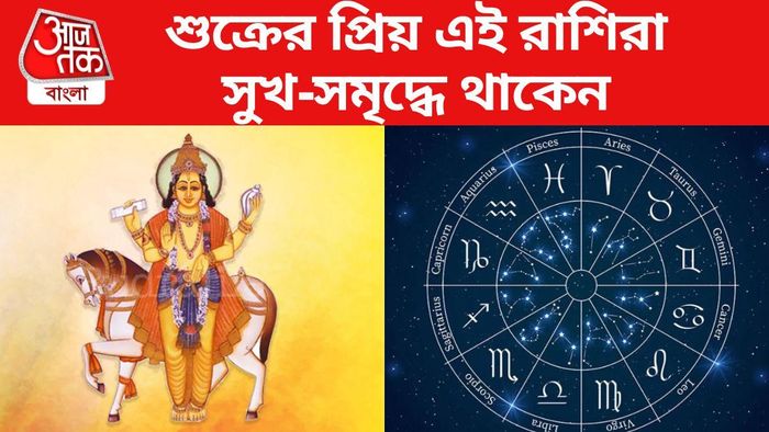 শুক্রের প্রিয় এই ৩ রাশি