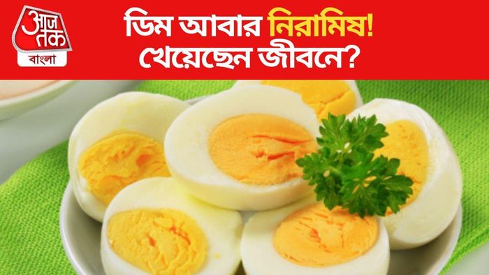 ভেগান ডিম