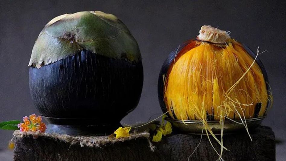 Palm Fruit Benefits: নানা রোগের মহৌষধ তাল, জানুন কী কী উপকারিতা - Palm Fruit Benefits bengali what are the health benefits of palmyra tree fruit bhadra month special fruit dishes from palm