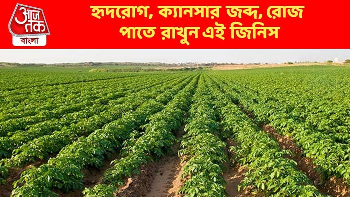 ক্যানসার, হৃদরোগের ঝুঁকি কমায়, রোজই পাতে রাখুন এই জিনিস