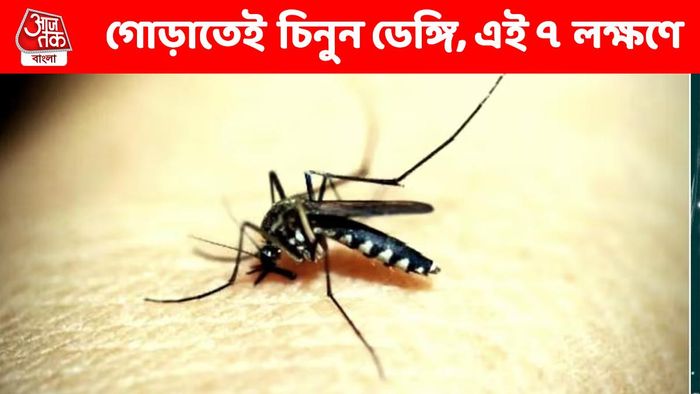 গোড়াতেই না চিনলে বড় বিপদ, এই ৭ লক্ষণে চিনুন ডেঙ্গি