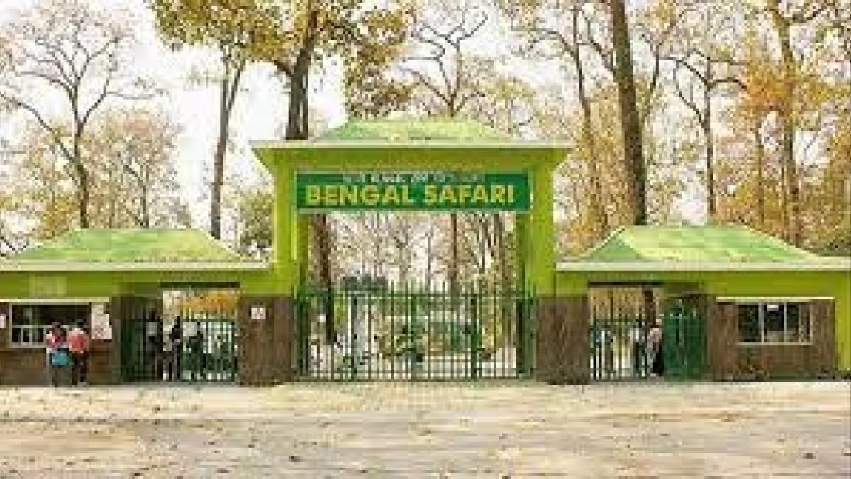 বেঙ্গল সাফারি পার্কে ফের মৃত্যু রয়্যাল শাবকের, পার্কের ভূমিকা নিয়ে প্রশ্ন