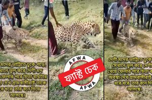 facebook users facebook users