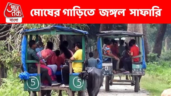 ডুয়ার্সের এই জঙ্গলে গেলেই মিলবে গিফট, মোষের গাড়িতে ভ্রমণের সুযোগ