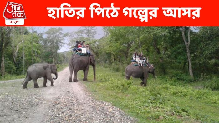 হাতির পিঠে গল্পের আসর, পর্যটকদের জন্য অভিনব বন্দোবস্ত বনদফতরের