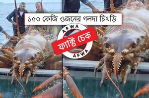 facebook users facebook users