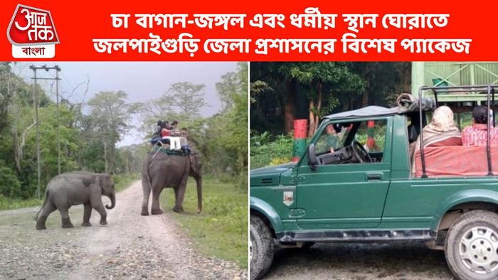 চা-জঙ্গল-ধর্মীয় পর্যটনের ত্রিফলা প্যাকেজ জলপাইগুড়ি প্রশাসনের, কীভাবে যাবেন?