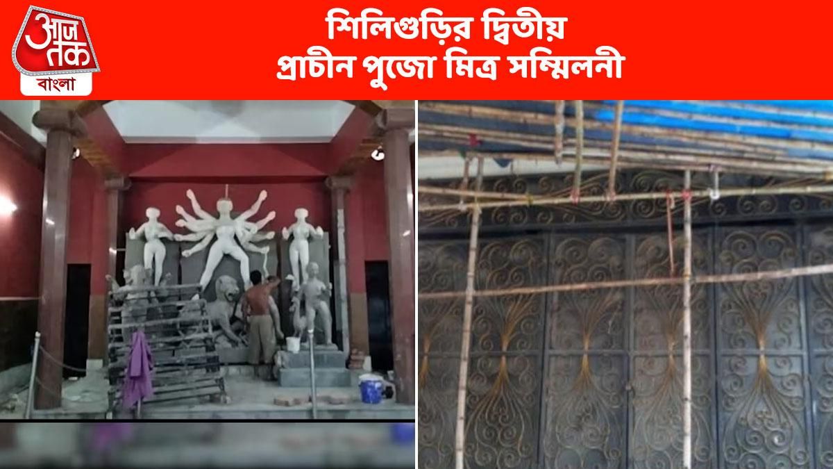 শিলিগুড়ির দ্বিতীয় প্রাচীনতম, মিত্র সম্মিলনীর পুজোয় প্রতিমা বিসর্জন হত টয়ট্রেনে