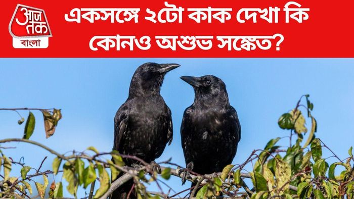 শকুন শাস্ত্র