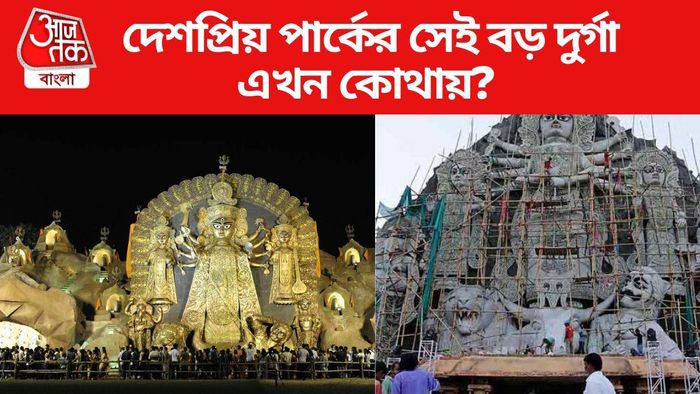 দেশপ্রিয় পার্কের সেই বড় দুর্গা এখন কোথায়?