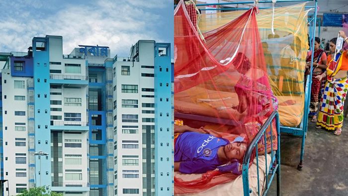 দু'দিন জ্বর থাকলেই এবার ডেঙ্গি পরীক্ষা, জরুরি বৈঠকে পরামর্শ উদ্বিগ্ন নবান্নের