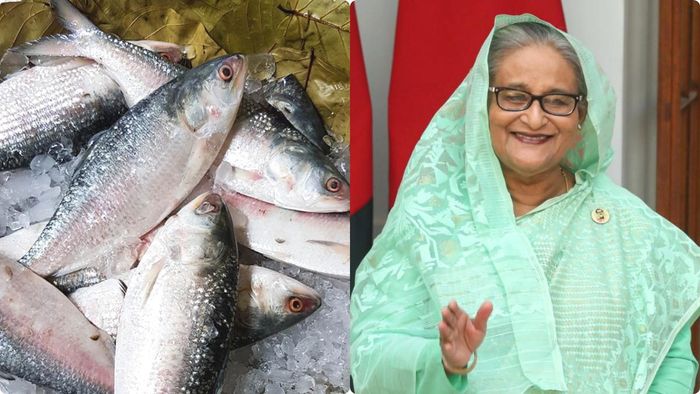 ফাইল ছবি।