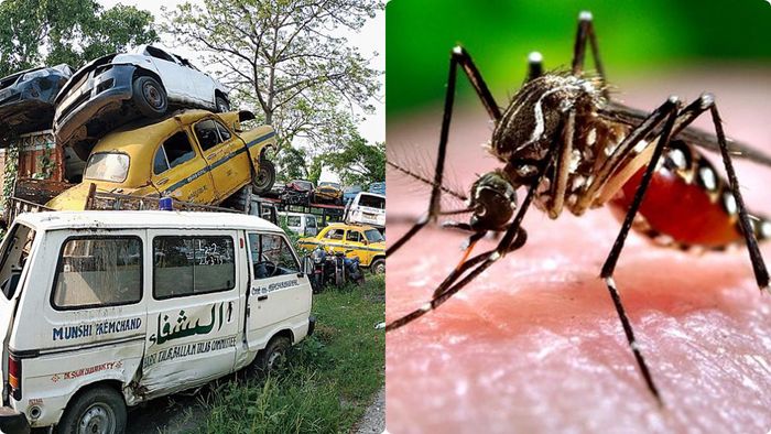 ফাইল ছবি।