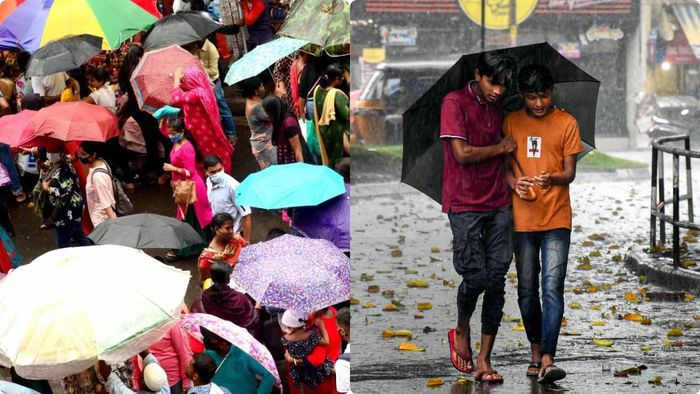 ফাইল ছবি।