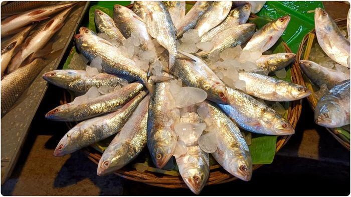 বৃহস্পতিবার সন্ধে নাগাদ পেট্রাপোল সীমান্ত পেরিয়ে এই রাজ্যে পৌঁছেছে ৪০ টন ইলিশ। ফলে মুখে চওড়া হাসি এপার বাংলার ক্রেতা-বিক্রেতা থেকে ভোজনরসিকদের।