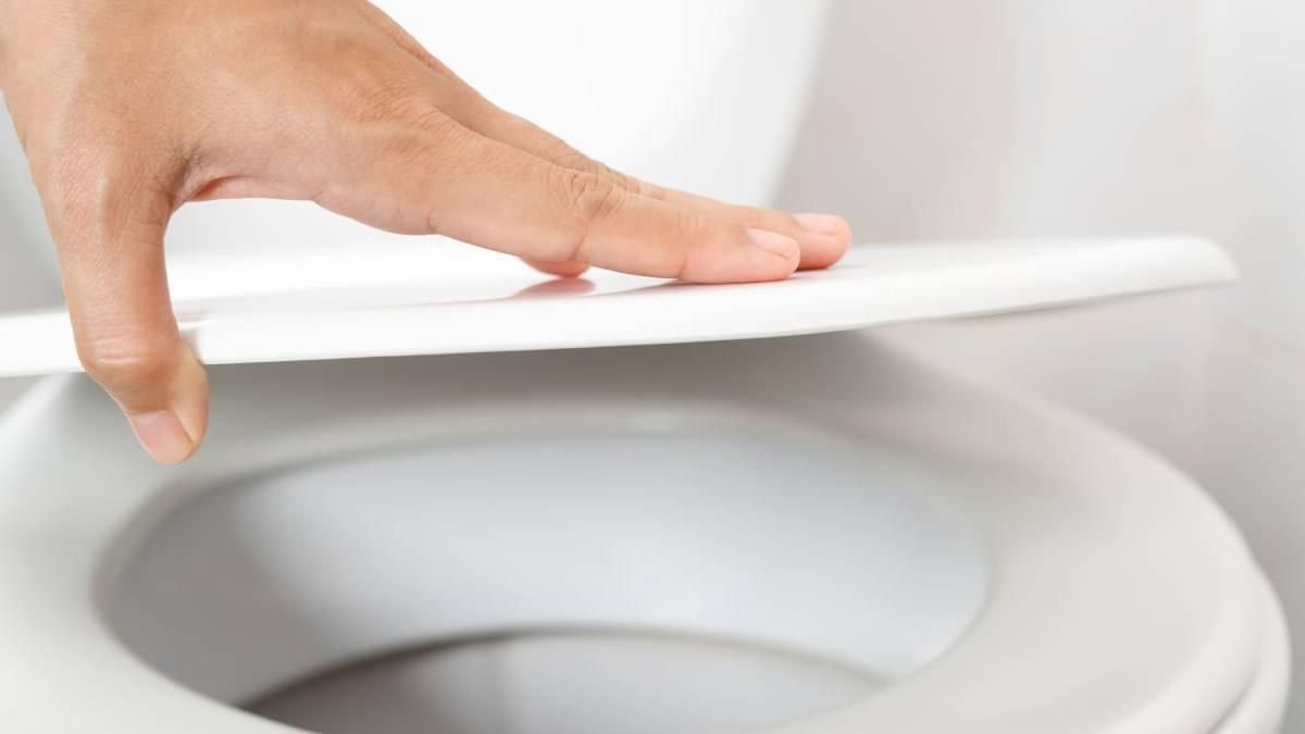 Feng Shui Tips কমোডের ঢাকা বন্ধ করেন না? বিশাল আর্থিক ক্ষতির মুখে