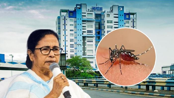 আলোচনার শেষে এদিন ডেঙ্গি পরিস্থিতি মোকাবিলায় বেশ কয়েকটি গুরুত্বপূর্ণ সিদ্ধান্ত নেওয়া হয়েছে।