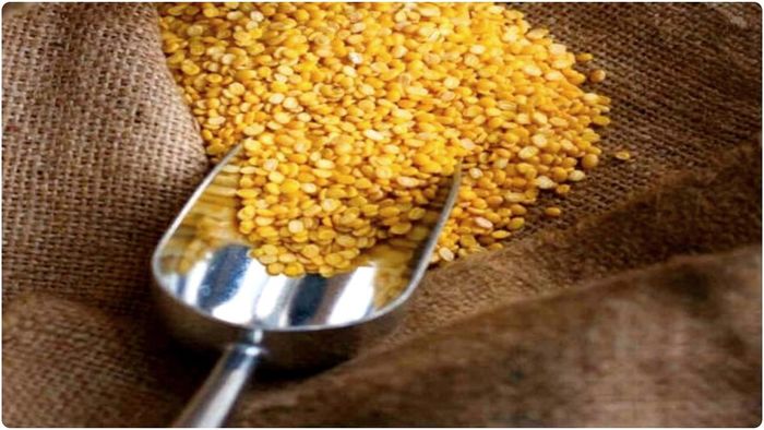 ভারত-কানাডার সম্পর্কের অবনতির ফলে ডালের দাম বৃদ্ধির আশঙ্কা করছেন অনেকেই।