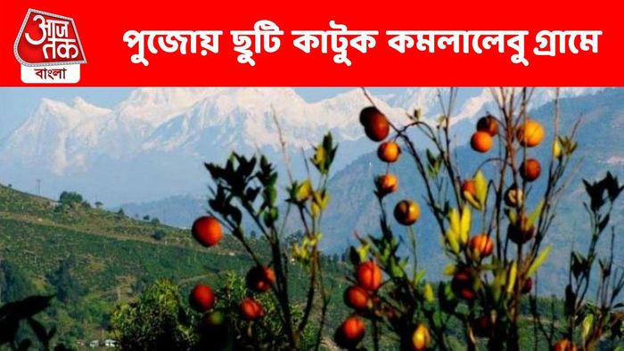 পুজোর ছুটি কাটানোর দারুণ ঠিকানা কমলালেবু গ্রাম