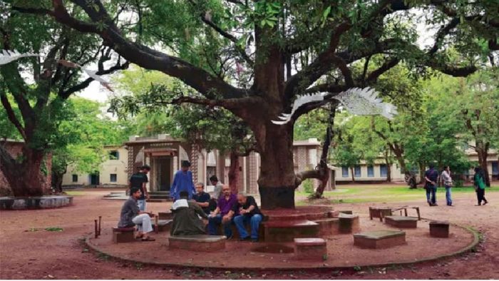 ফাইল ছবি।