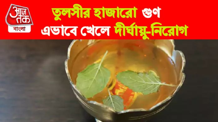 তুলসীর নানা গুণ।