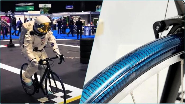 ফাইল ছবি।