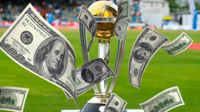 বিশ্বকাপের পুরস্কারমূল্য