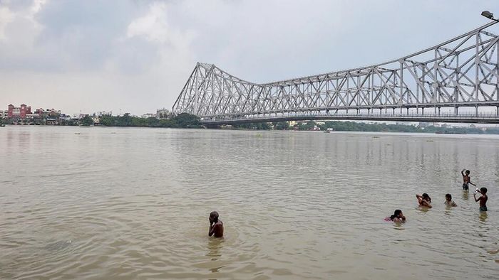 ফাইল ছবি।