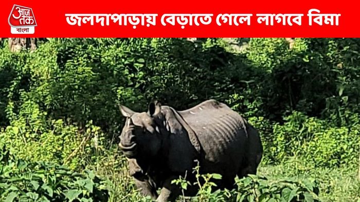 জলদাপাড়ায় জঙ্গলে বেড়াতে গেলে এবার লাগবে বিমা, কবে থেকে?